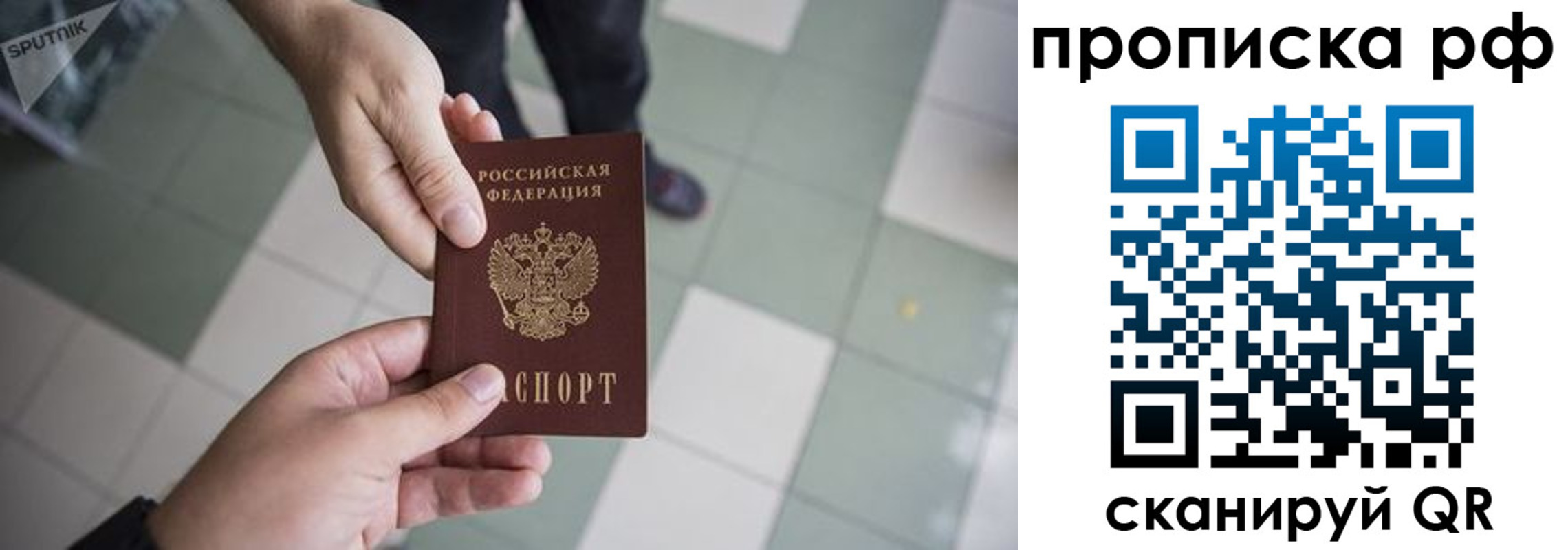 прописка гарантия в Новгородской области