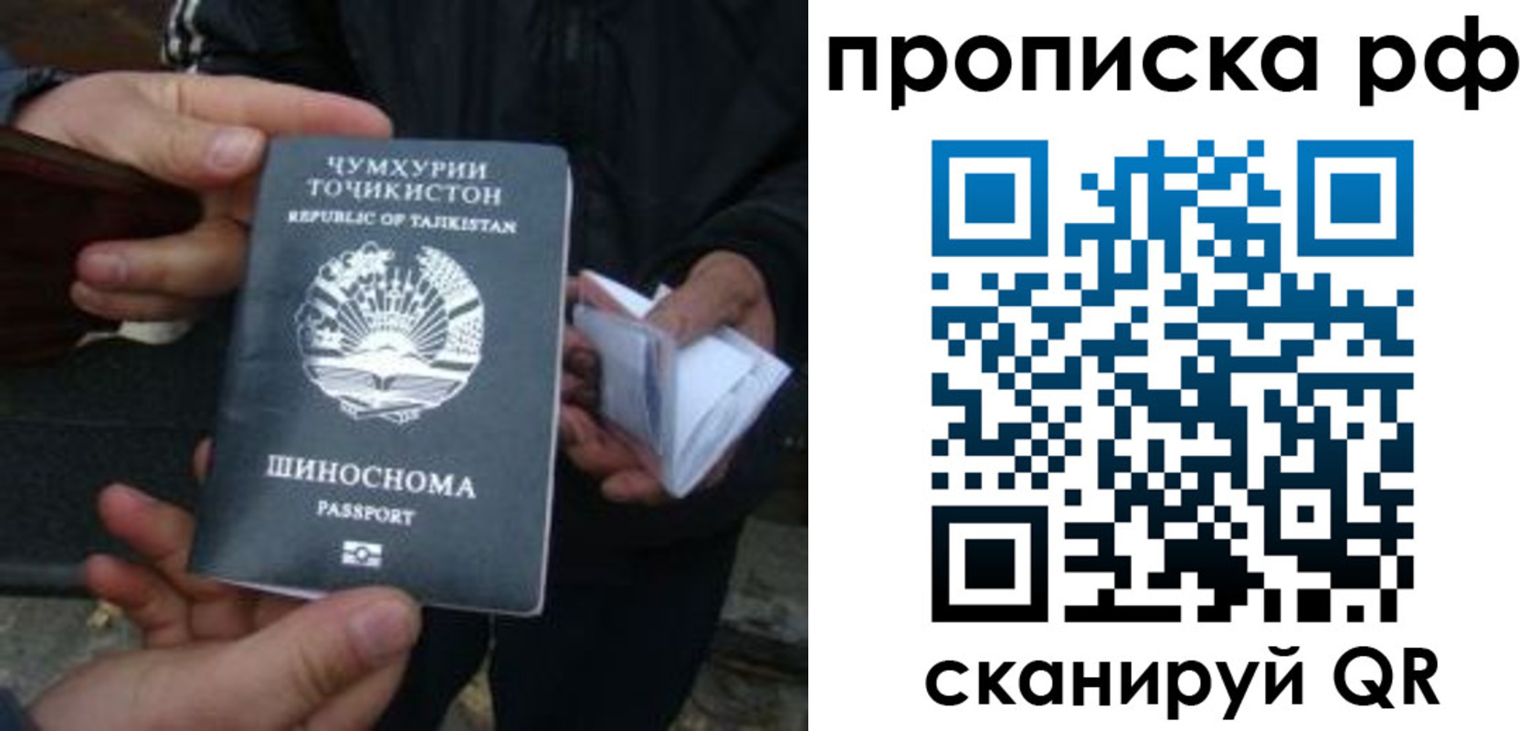 форма 3 в Новгородской области
